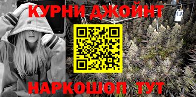 шишки Заволжье