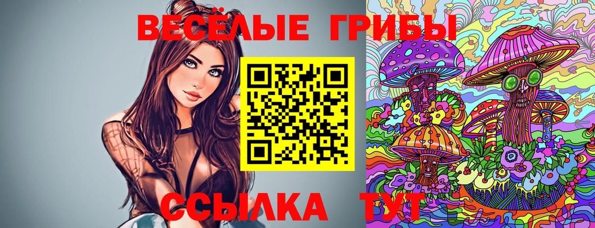 Псилоцибиновые грибы GOLDEN TEACHER Владивосток